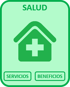 Sector 
            Tecnologia