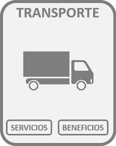 Sector 
            Transporte